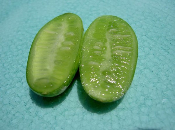 Ngắm[-]dưa[-]hấu[-]tí[-]hon[-]khiến[-]phụ[-]nữ[-]Việt[-]“phát[-]sốt”[-]